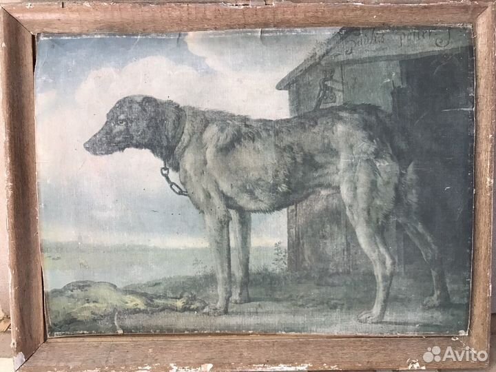 Старинная картина Цепная собака купить в Ставрополе | Хобби и отдых |  Авито