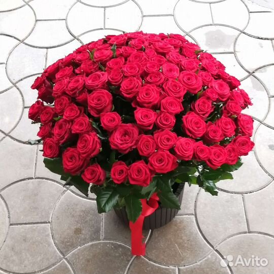 101 роза 50см