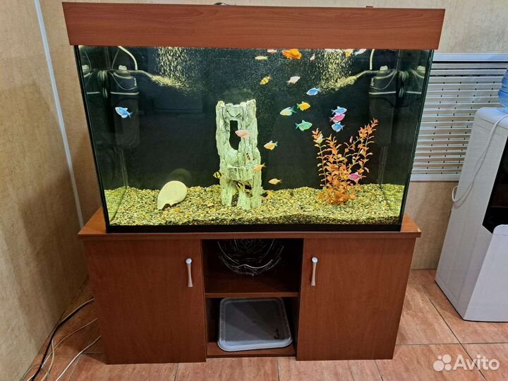 Аквариум с рыбками