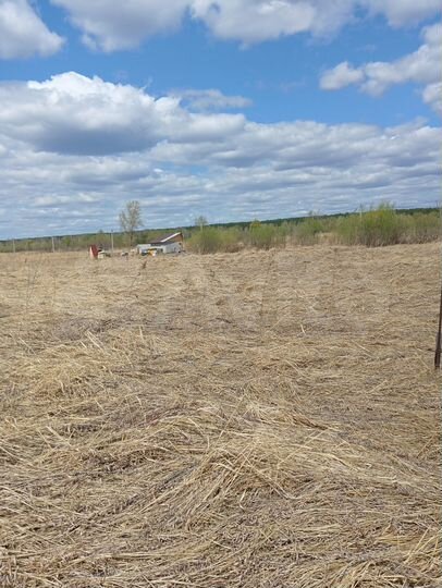 Участок 12 сот. (СНТ, ДНП)