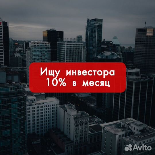 Ищу инвестора 10 проц мес