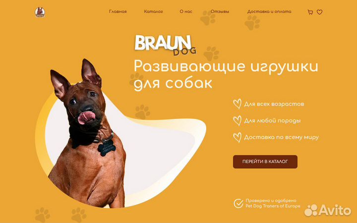 Создание сайтов