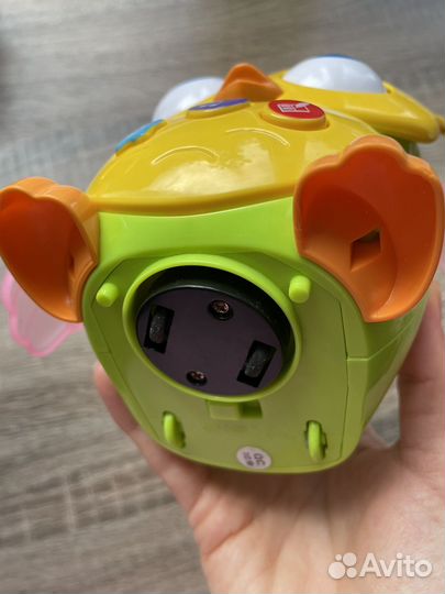 Танцующая и поющая сова