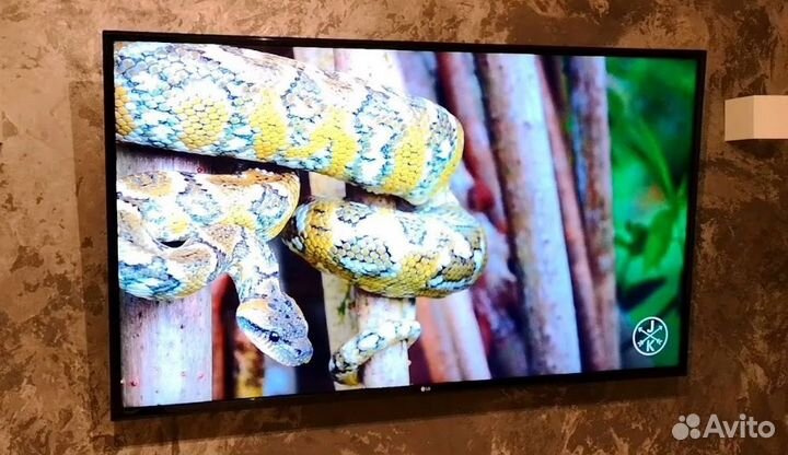 SMART tv LG 55(140cm)
