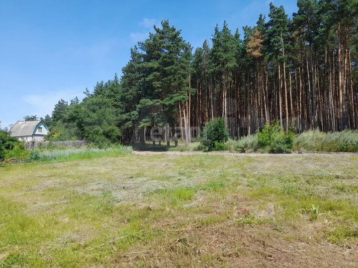 Участок 13,16 га (ИЖС)