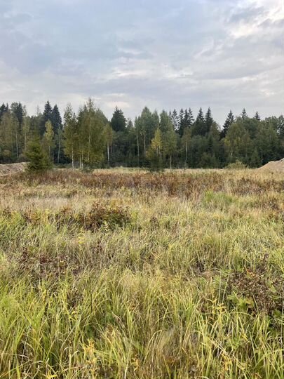 Участок 7 сот. (СНТ, ДНП)