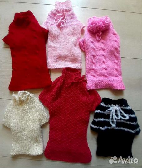 Одежда для собак, кошек