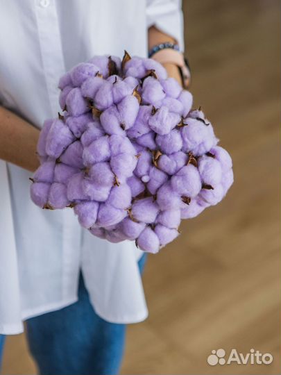 Ветки хлопка сухоцвет