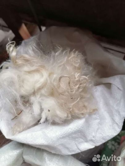 Пух козий белый