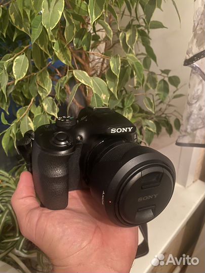Sony Alpha A3500