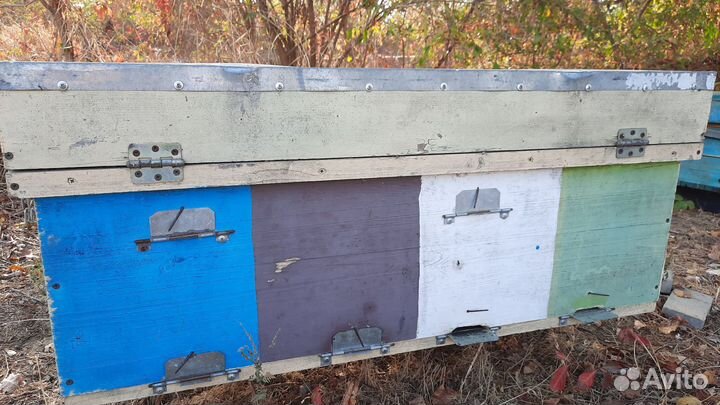 Продаю ульи