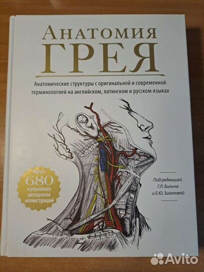 Анатомия Грея
