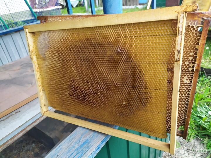 Рамки с вощиной