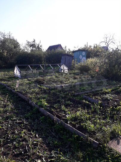 Участок 4,3 сот. (СНТ, ДНП)