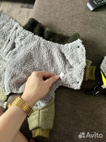 Одежда для собак мелких пород