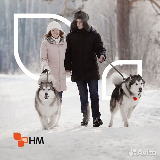 Корма для собак и кошек