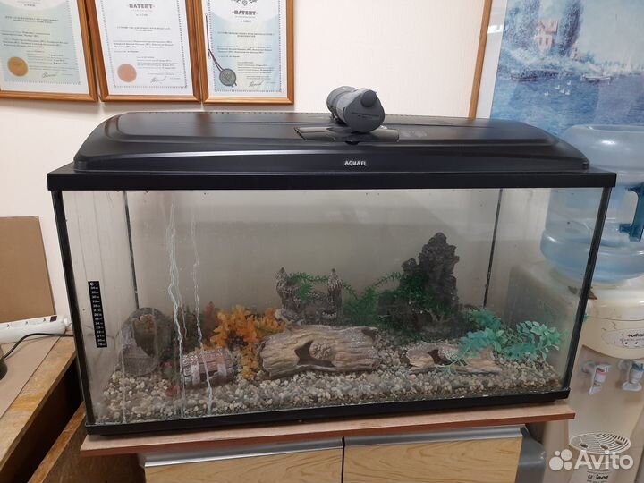 Аквариум
