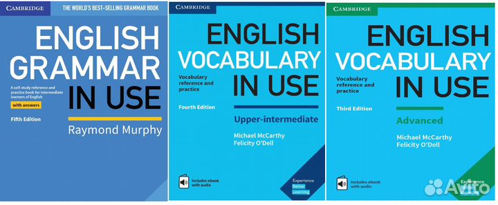 Vocabulary in Use