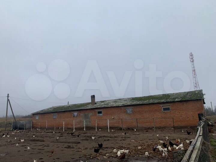 Участок 58 га (СНТ, ДНП)