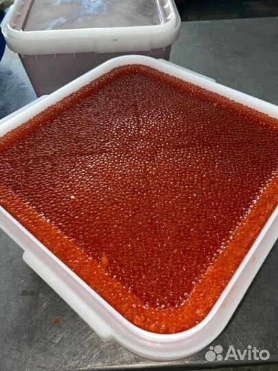 Икра красная оптом