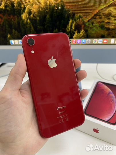 iPhone Xr, 64 ГБ