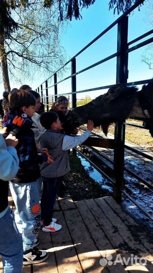 Тур на Новый Год в Кострому и Ярославль 3 дня 2024