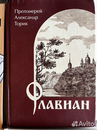 Православная литература. Александр Торик