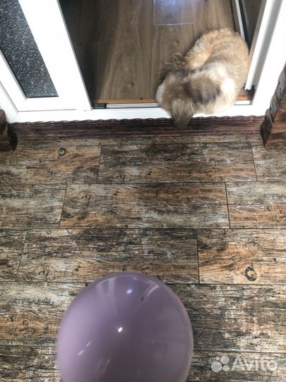 Мяч для художественной гимнастики