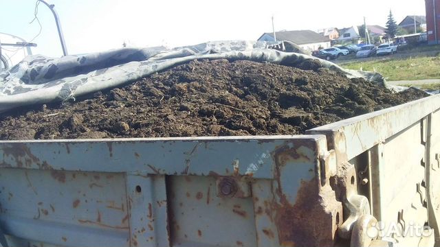 Конский навоз, перегной