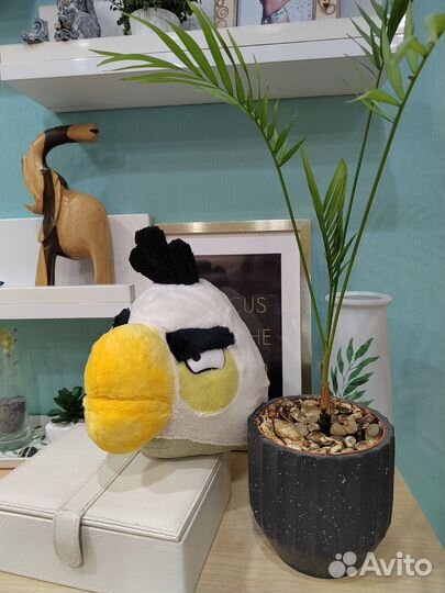 Angry Birds игрушки мягкие