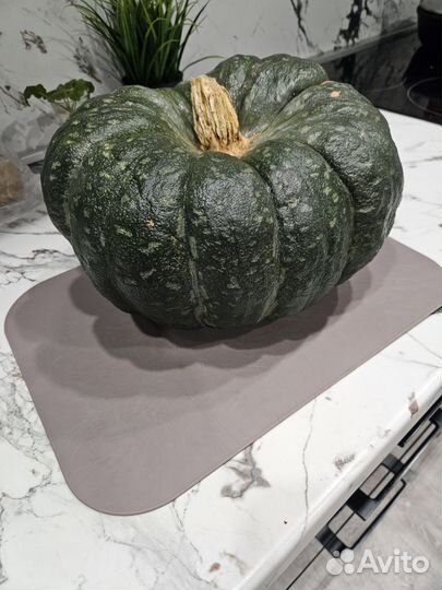 Тыква оптом