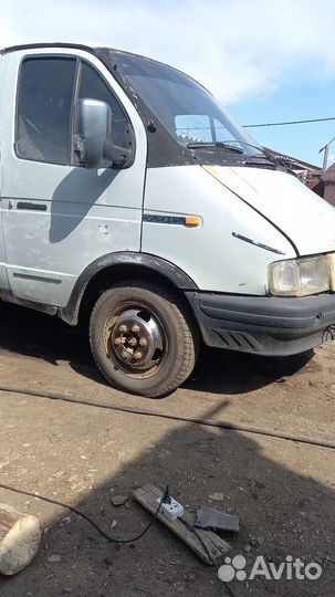 Морда газель