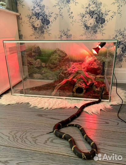 Террариумы для змеи
