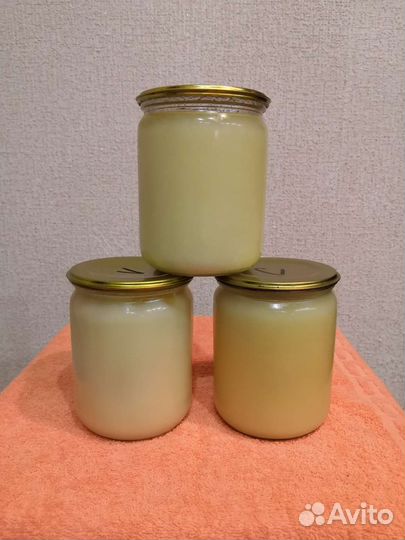 Жир барсука, байбака