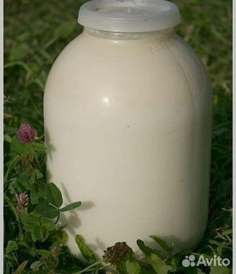 Продаём молоко коровье, масло сливочное