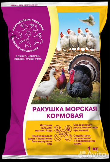 Ракушка морская кормовая