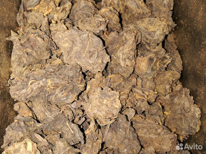 Чайные Головы шу средние 1гр