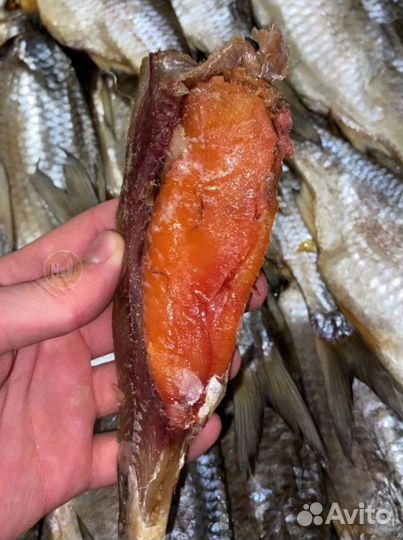 Астраханская вобла