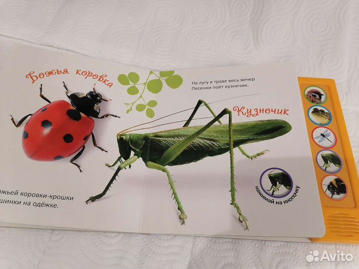 Книги для малышей