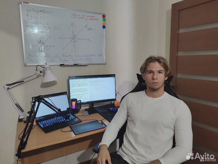 Занятия по математике/информатике огэ/егэ онлайн
