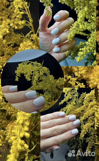 Гель лак(shellac) ;наращивание;педикюр