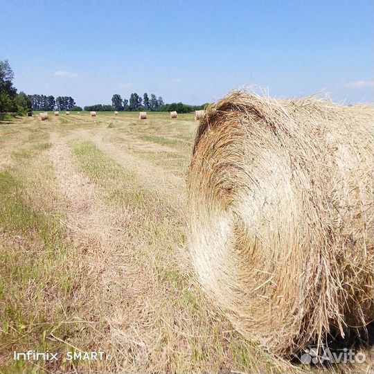 Продам сено в тюках