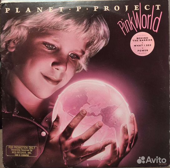 Planet P Project