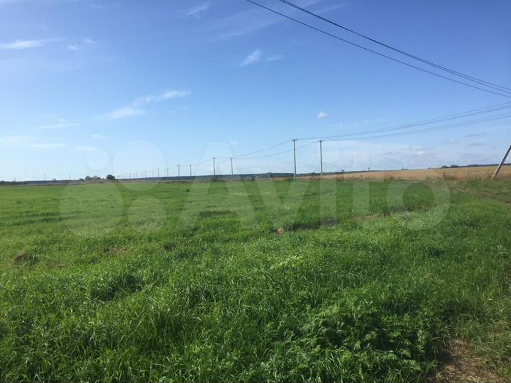 Участок 4 га (промназначения)