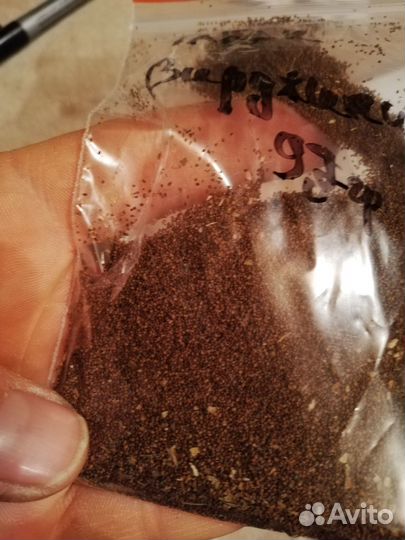 Семена Табака 97 гр