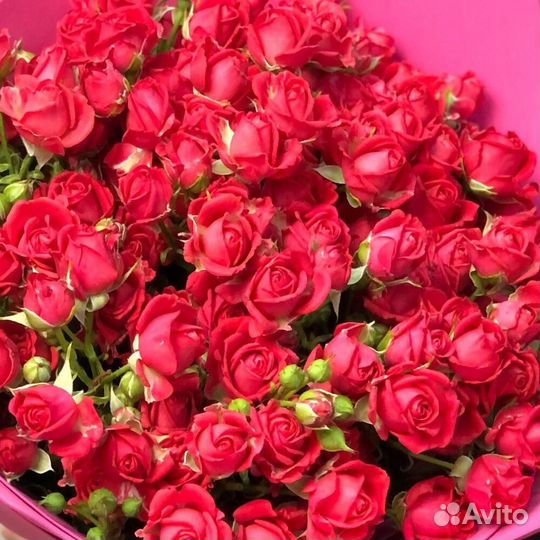 Букет из 21 красной кустовой розы