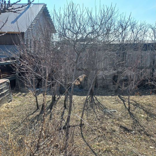 Участок 16 сот. (СНТ, ДНП)
