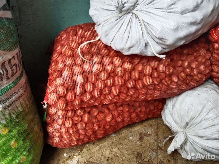 Грецкий орех