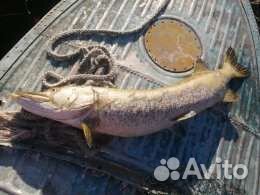 Рабалка в Карелии