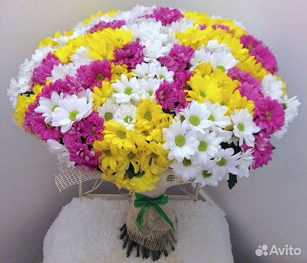 Букет из 51 хризантемы Гамма